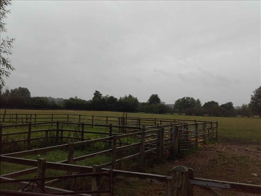 England -- Cottage Bridge -- pastures