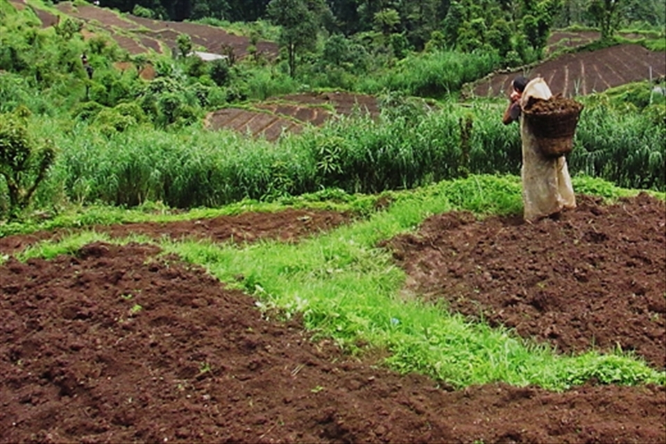 A shot of the agricultural land of the village