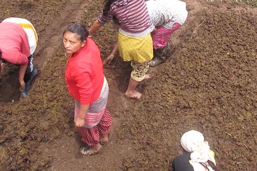 Girls also put the same effort as the menfolk