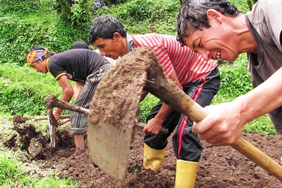 All of them come together an work in one field at a time.