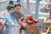 Curiosity invokes spiritual beginnings in Barahi Temple, Pokhara. : by biophile, Views[667]