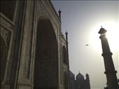 The Taj: by bittenis, Views[285]