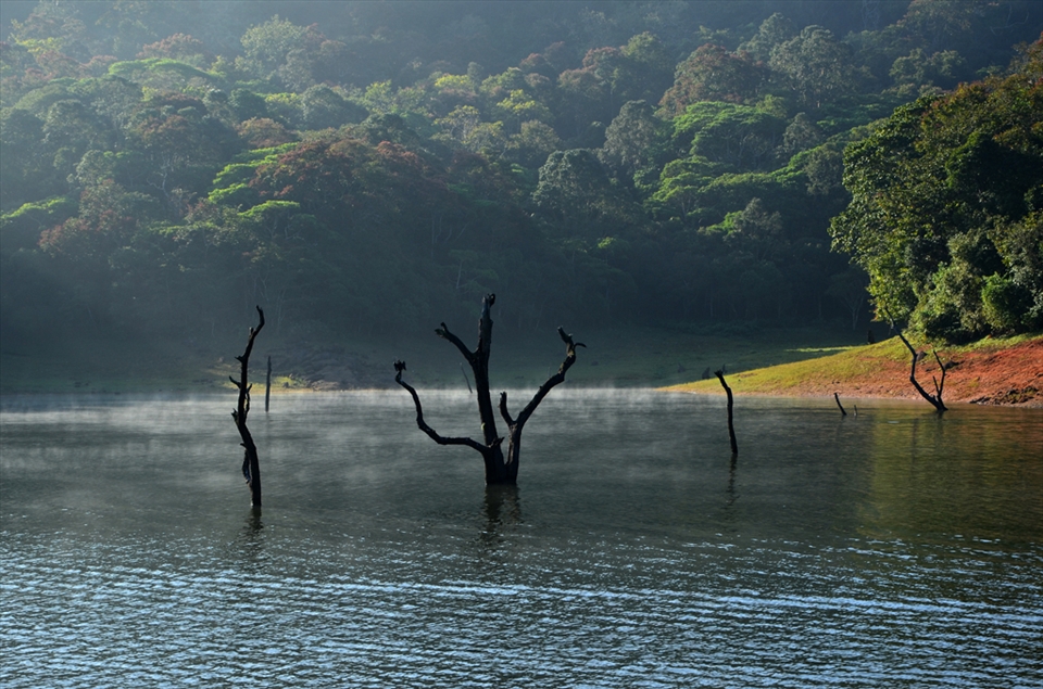 The amazing beauty of the Prayer Lake attracts the traveller.