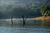 The amazing beauty of the Prayer Lake attracts the traveller.: by bittu, Views[269]