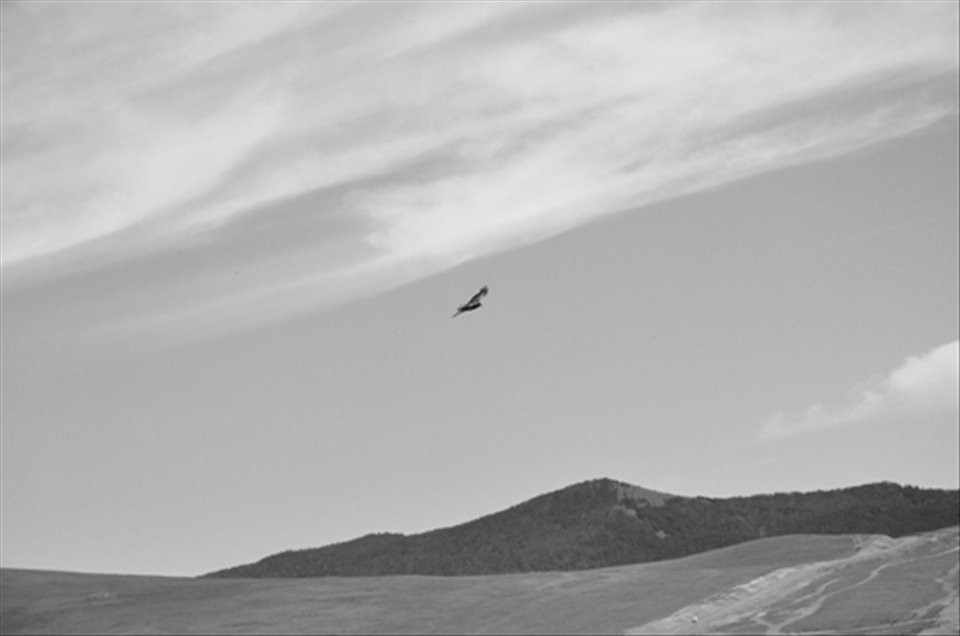 Kaya followed the Eagle. The Eagle was busy with searching a dinner. The little ships below him had no imagination about the danger. Tired people in yurta drank salt tea with butter. Everyone followed his own way.