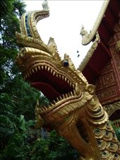 by blackntan210, Views[320]