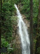 by blackntan210, Views[249]