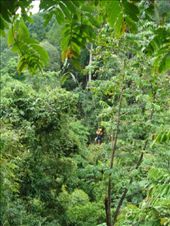 by blackntan210, Views[255]