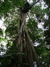 by blackntan210, Views[234]