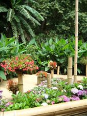 by blackntan210, Views[259]