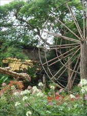 by blackntan210, Views[235]