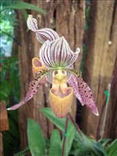 by blackntan210, Views[251]