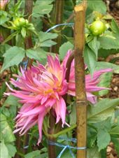 by blackntan210, Views[209]