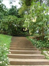 by blackntan210, Views[215]