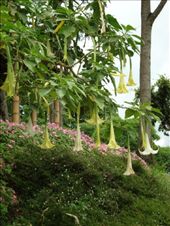 by blackntan210, Views[197]