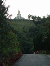 by blackntan210, Views[260]