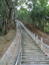 by blackntan210, Views[231]