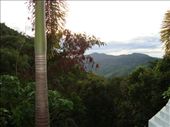 by blackntan210, Views[263]