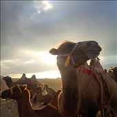 by blackshaman, Views[225]