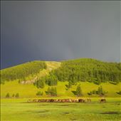 by blackshaman, Views[214]