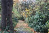 A pathway connecting estate blocks, beautiful in autumn, scary when dark: by blacktrees, Views[402]