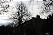 A view through the trees of my local estate, it looks grim in the natural light: by blacktrees, Views[318]