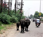 by blesstravo, Views[213]