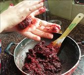 by blesstravo, Views[319]