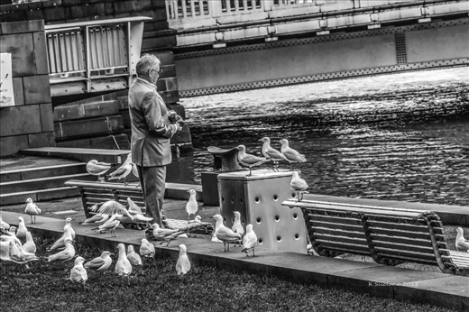 Nature and man in the Melbourne CBD.  Showing the effects man has on nature.