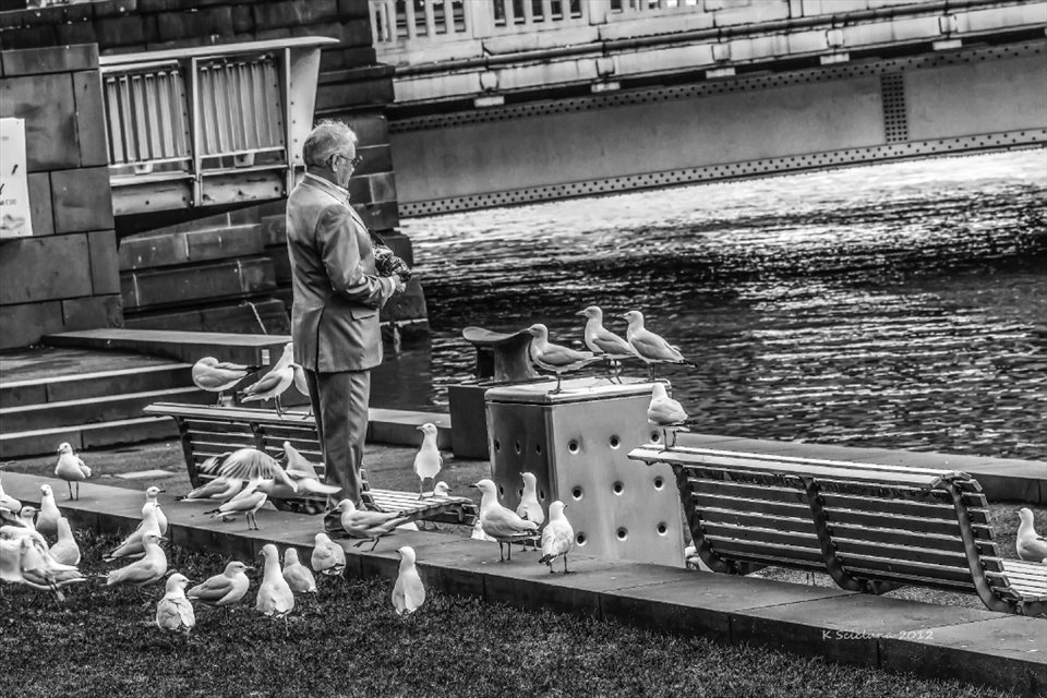 Nature and man in the Melbourne CBD.  Showing the effects man has on nature.