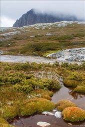 After a perilous hike around Cradle Mountain we stopped for a break, despite horrific conditions a group of hikers including myself made it around to see the summit of Cradle Mountain in front of us.  With the mist just covering Little Horn, I decided to grab my camera and get a shot, this shot just gave a sense of not only why we were there, but the conditions we all faced that day on the hike. : by bluetaipan, Views[477]