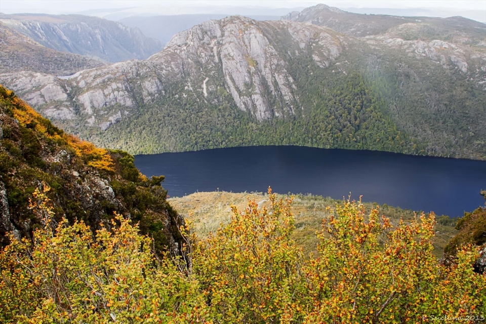 After hiking for a couple a couple of hours in blistering winds and rain we come to a stop. We stop at Marion's lookout which is overlooking dove lake.  Once up there I am taken to a special spot, where I am then shown a remarkable view! Closes to me is the Tanglefoot Beech (Nothofagus gunnii), this remarkable little tree is the only alpine deciduous tree, which in itself makes it more special.  This tree encapsulates sheer beauty, and there adds even more an emotional feeling to it.  
I was in awe of the beauty of the flora, but was even more moved by what I was to see next. Looking over dove from a high altitude, was nothing short of spectacular, and I was in sheer awe looking down. After what was a long hike, it was worth stopping, getting close to the edge, and looking over something that is so beautiful and pure.