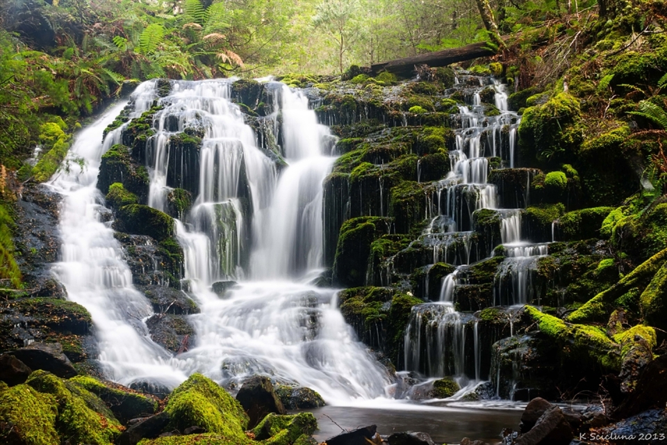 I was told about this remarkable place whilst at Cradle Mountain.  When I had the pleasure of seeing this magnificent place, I was left gasping.  Olivia cascades just left me speechless, and walking away with a smile on my face. Despite the treacherous walk to get to this place, it was worth it!