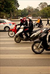 In true Vietnamese fashion, this crosswalk in Hanoi has four times the motorbikes as it does cars or pedestrians. : by blythecollins, Views[329]