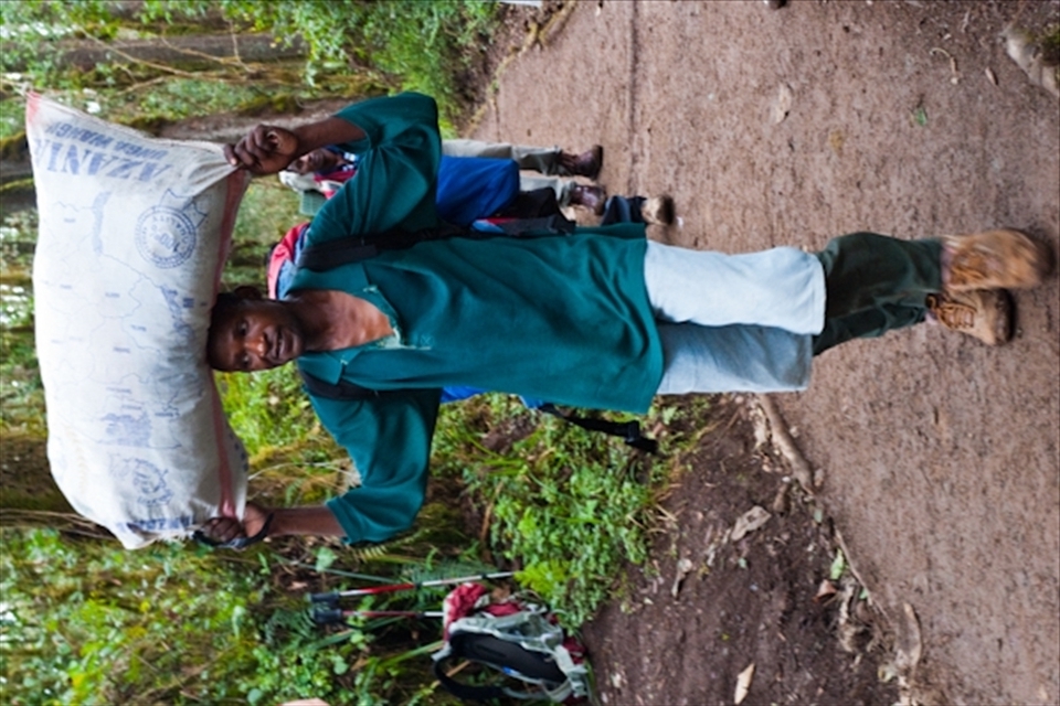The porters on Kilimanjaro are similar to Nepal's famous sherpas.  Working as a porter is dangerous, but highly desirable because of the relatively high wages.