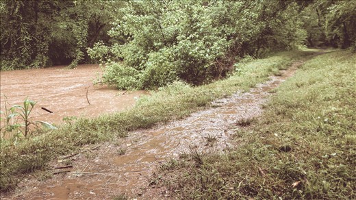 Spartanburg, South Carolina's Cottonwood Trail Preserve was established to conserve Lawson's Fork Creek (pictured here at near flood stage) and its feeder streams as well as to provide mixed-use trails to area residents.