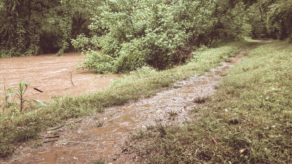 Spartanburg, South Carolina's Cottonwood Trail Preserve was established to conserve Lawson's Fork Creek (pictured here at near flood stage) and its feeder streams as well as to provide mixed-use trails to area residents.
