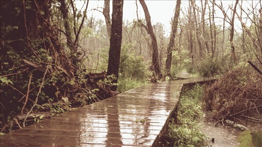 The Spartanburg Area Conservancy partners with local Boy Scouts for various projects.  So far, sixteen boys have completed voluntary public service projects like building foot bridges, benches, or information kiosks to help them earn the prestigious Eagle Scout Award.