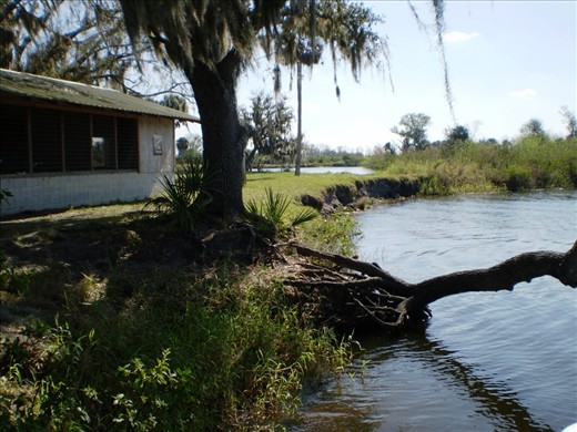 Everglades - Florida