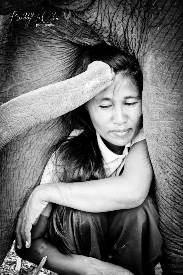 Elephants & People have been living together for thousands of years