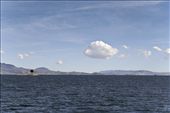 On the way to the Isla del Sol - Titicaca lake: by bolivia-on-the-go, Views[464]