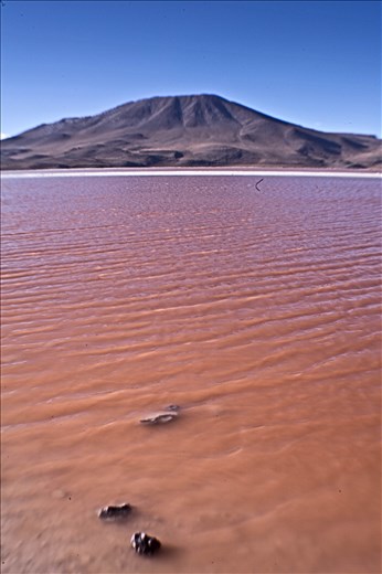 Reserva Natural Eduardo Avaroa