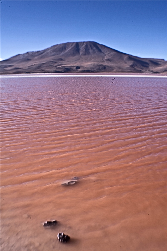 Reserva Natural Eduardo Avaroa