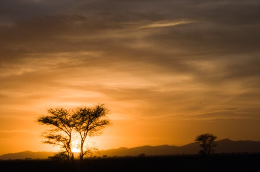 So you run and you run to catch up with the sun but it's sinking ...