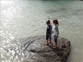 by bombardo-family, Views[281]