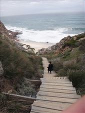 by bombardo-family, Views[157]