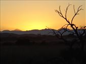 by bombardo-family, Views[234]