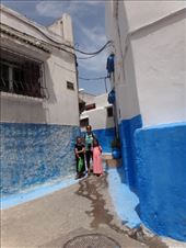 by bombardo-family, Views[296]