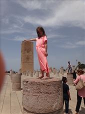 by bombardo-family, Views[311]