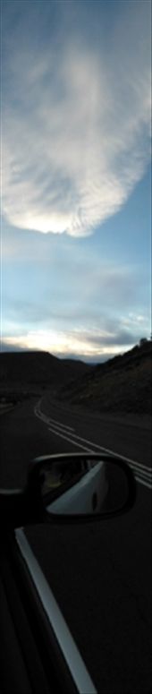 by bonfleming, Views[217]